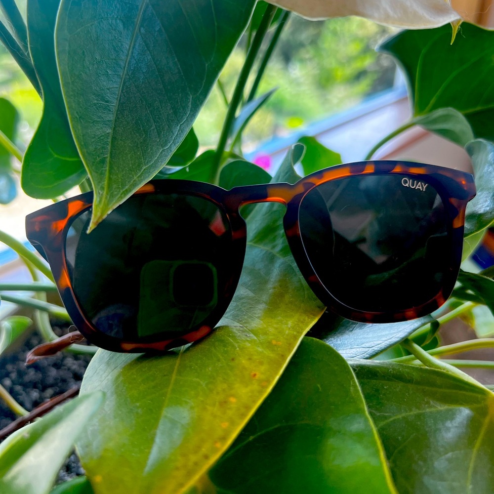 Quay Australia Jackpot POLARIZED